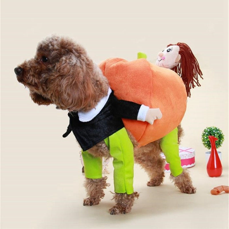 Pumpkin Dog