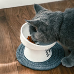 Non-Slip Pet Bowl