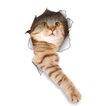 Realistic Cat Wall Sticker